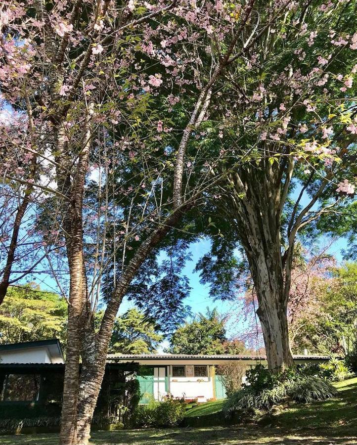 Pinheiros Do Rocio Hotel Petropolis  Exterior photo